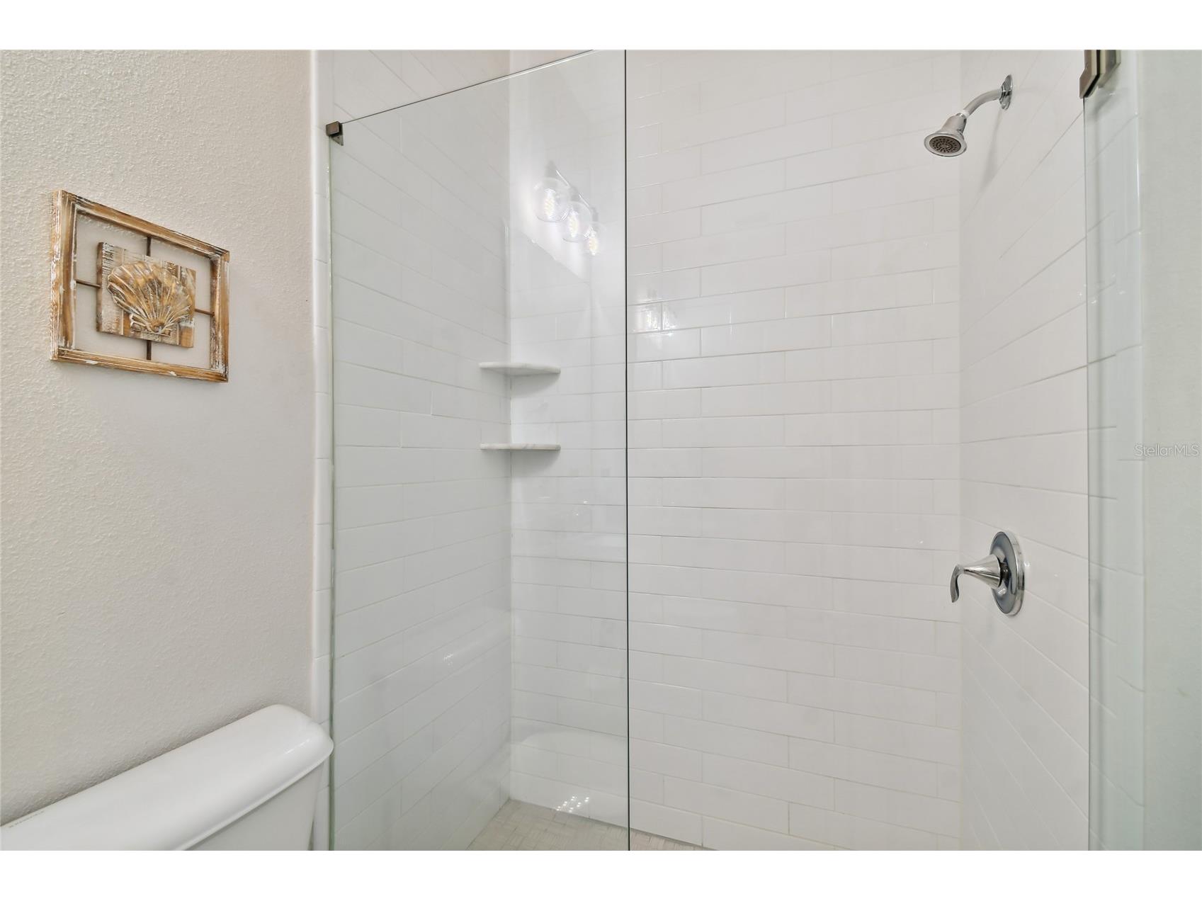 4013 W Zelar Street Tampa FL 33629 TB8515547 image61