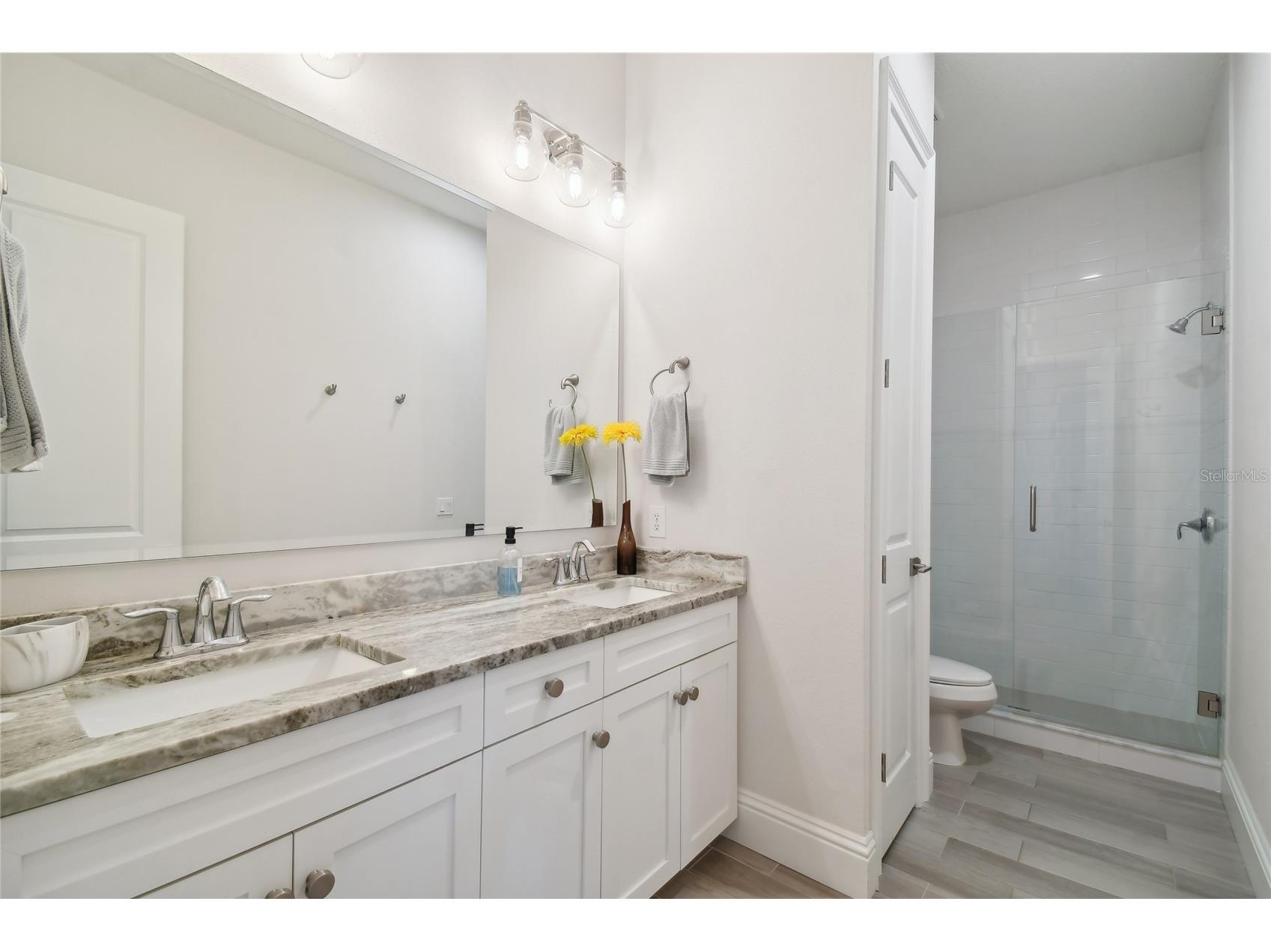 4013 W Zelar Street Tampa FL 33629 TB8515547 image62