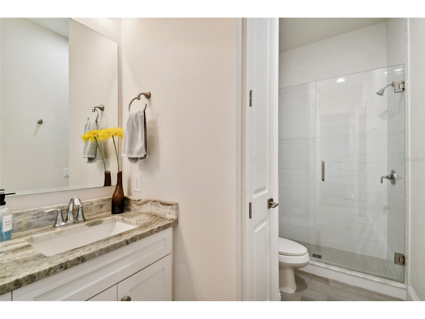 4013 W Zelar Street Tampa FL 33629 TB8515547 image64