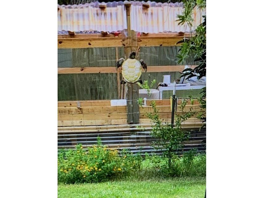 40130 County Road 439 Umatilla FL 32784 G5102386 image22