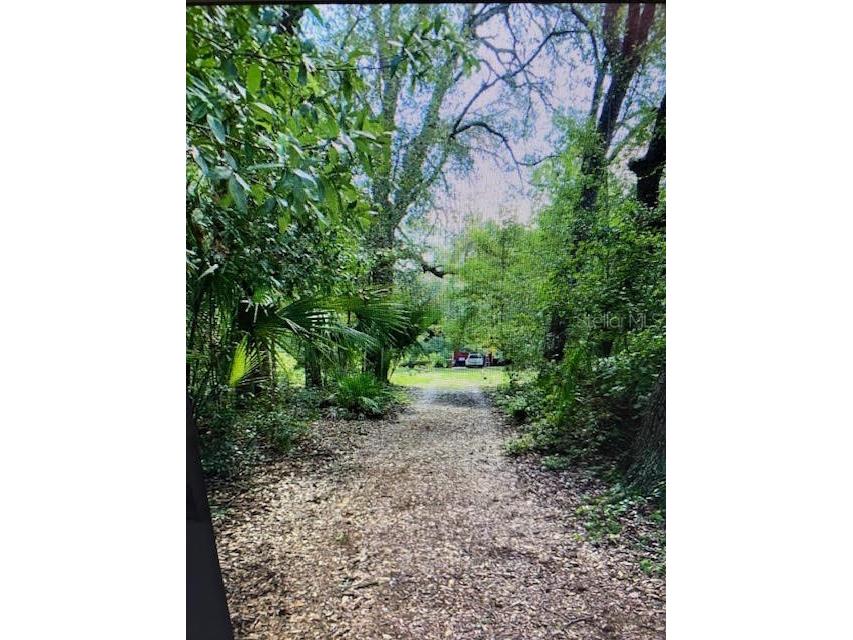 40130 County Road 439 Umatilla FL 32784 G5102386 image25