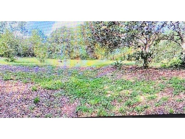 40130 County Road 439 Umatilla FL 32784 G5102386 image27