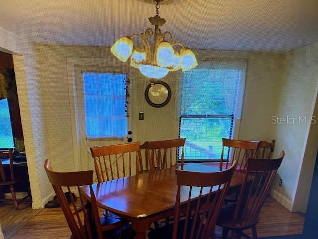 40130 County Road 439 Umatilla FL 32784 G5102386 image5