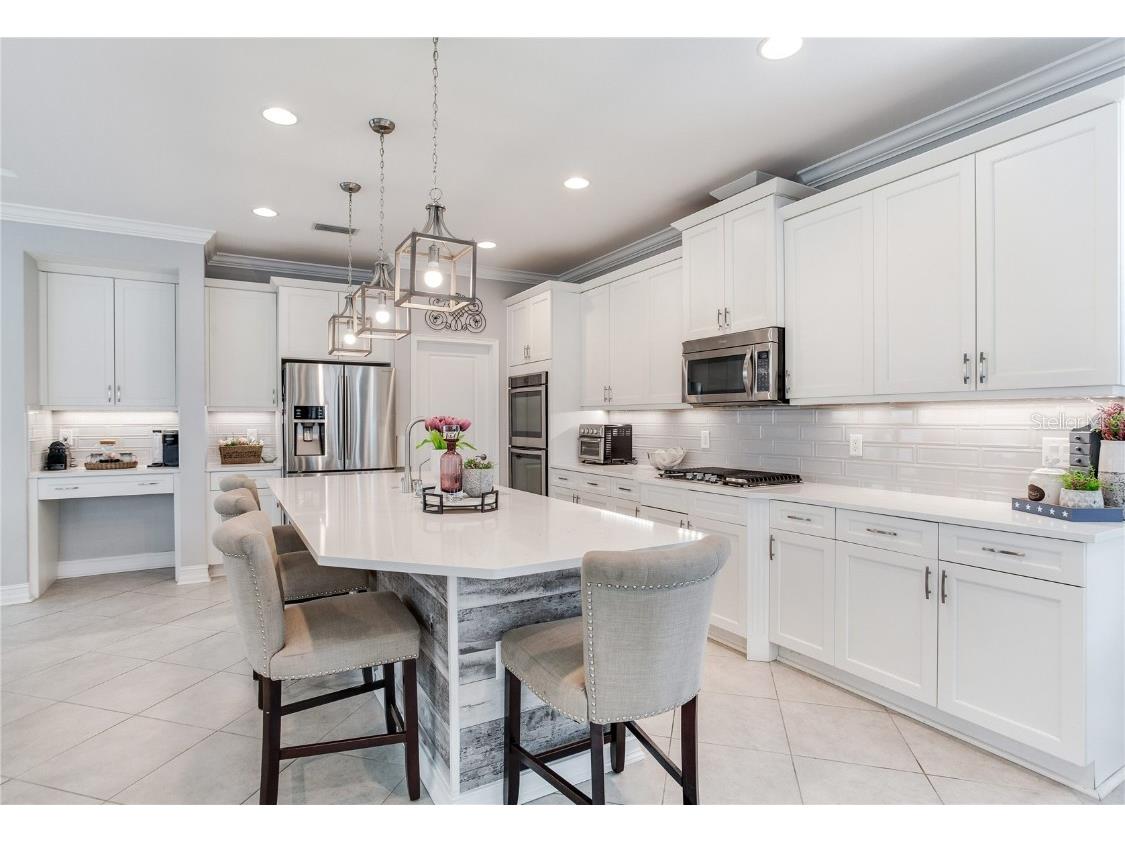 4014 Empoli Court Wesley Chapel FL 33543 TB8437068 image22