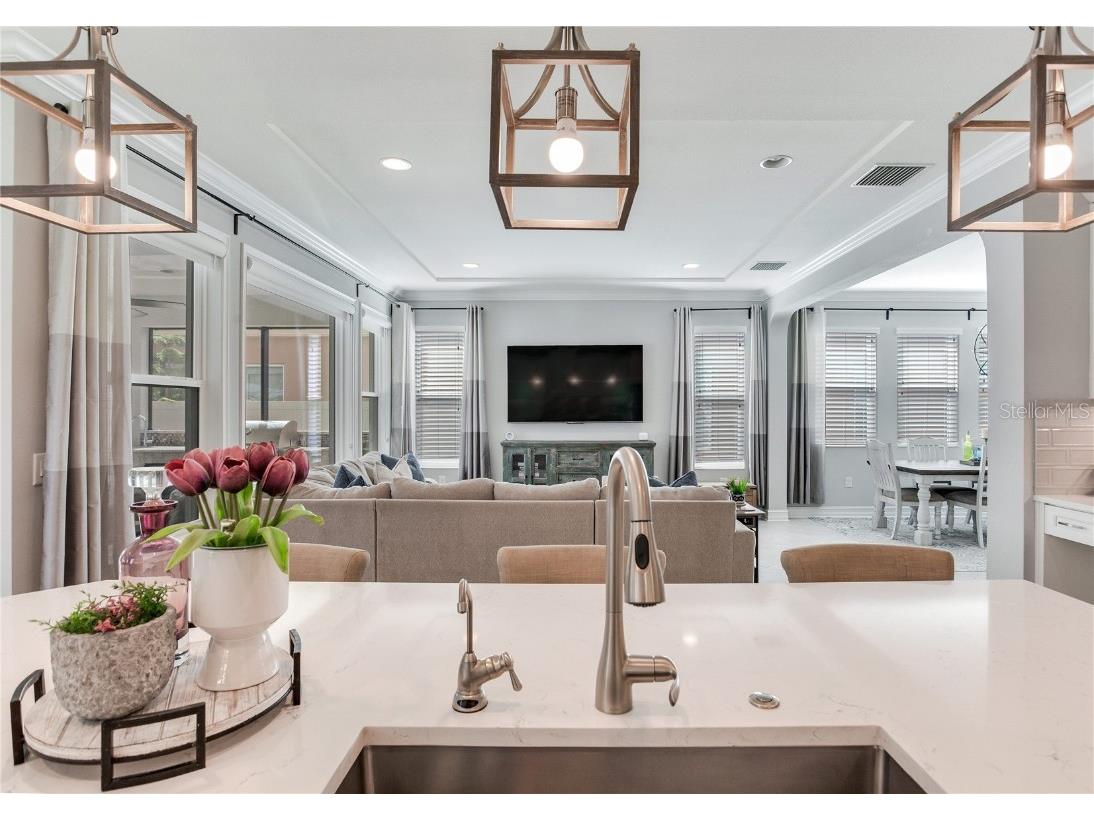 4014 Empoli Court Wesley Chapel FL 33543 TB8437068 image24