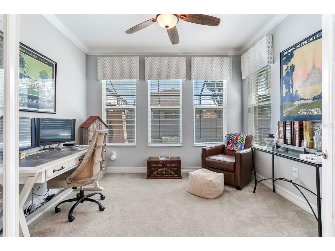 4014 Empoli Court Wesley Chapel FL 33543 TB8437068 image31