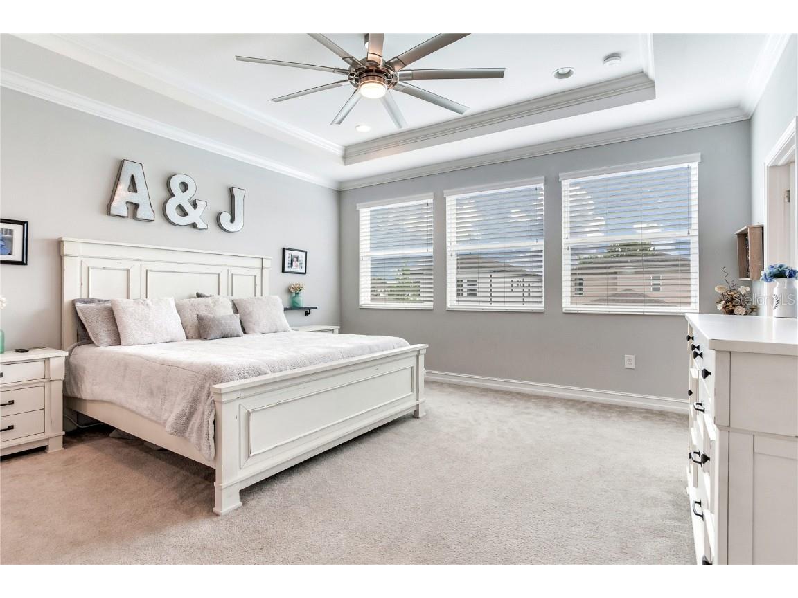 4014 Empoli Court Wesley Chapel FL 33543 TB8437068 image37