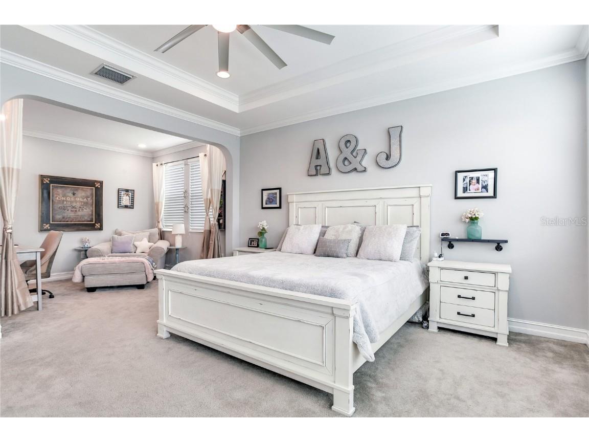 4014 Empoli Court Wesley Chapel FL 33543 TB8437068 image39