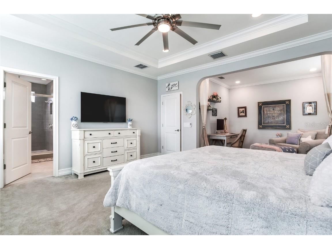 4014 Empoli Court Wesley Chapel FL 33543 TB8437068 image40