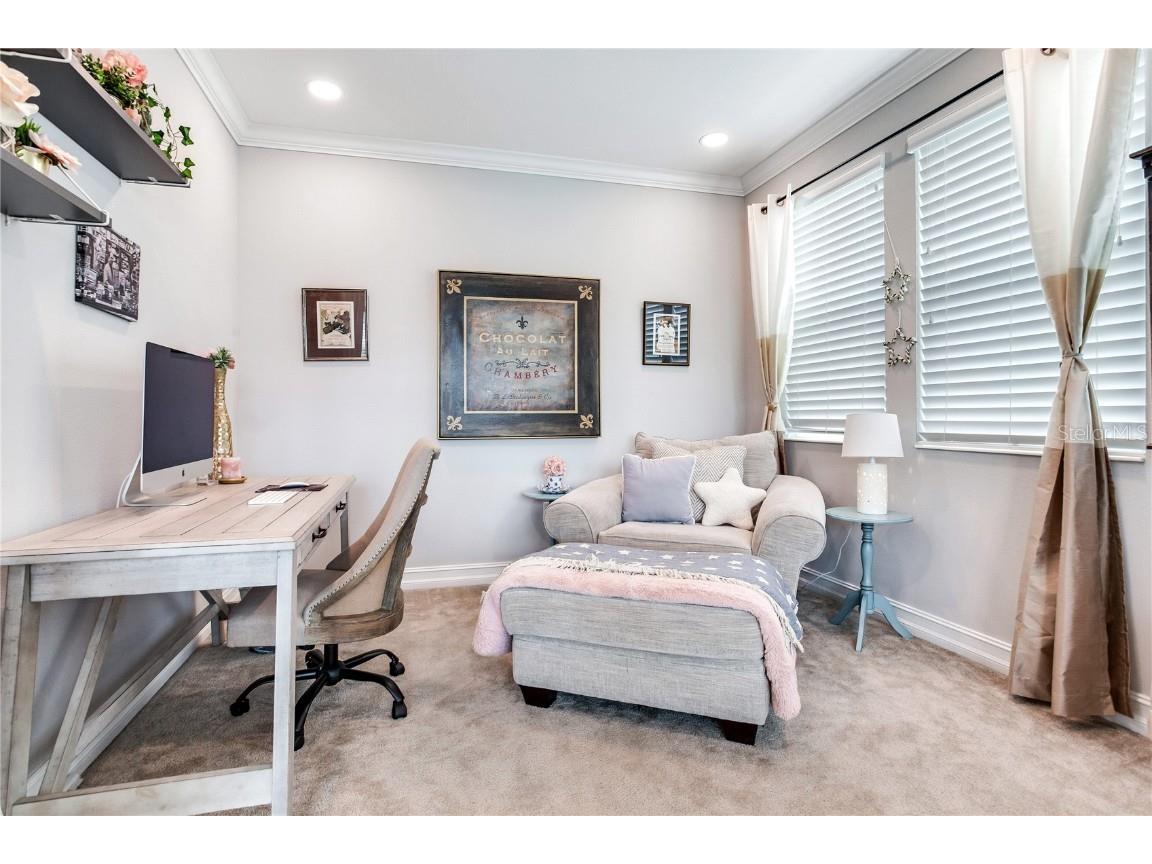 4014 Empoli Court Wesley Chapel FL 33543 TB8437068 image41