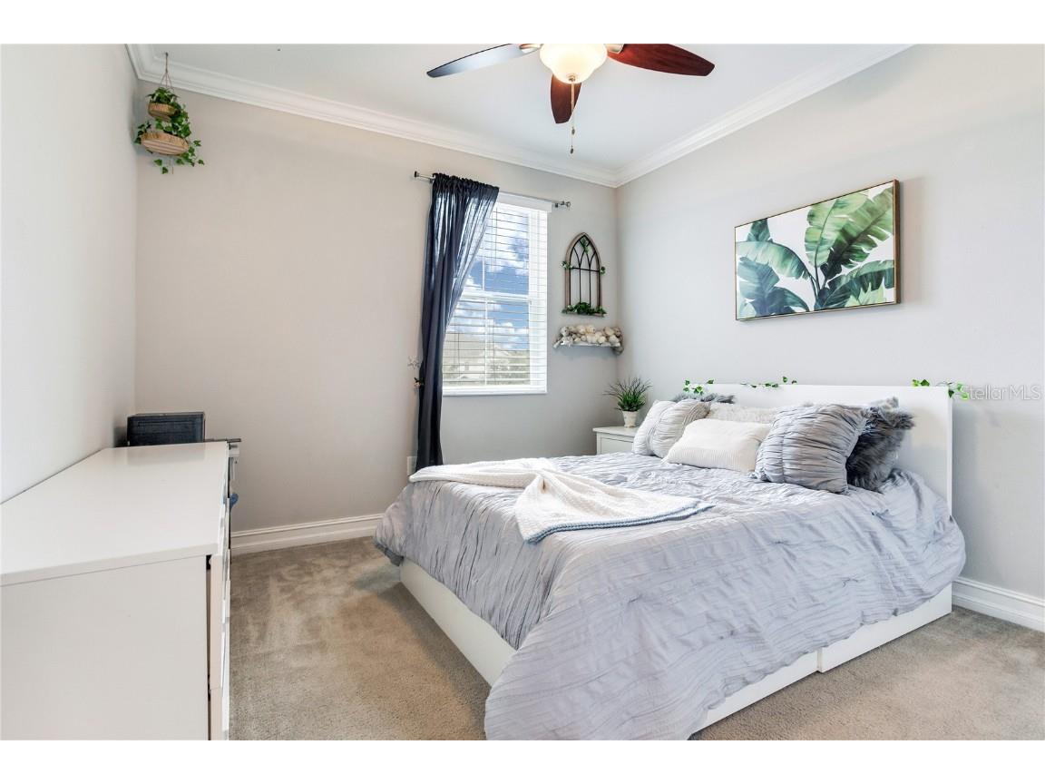 4014 Empoli Court Wesley Chapel FL 33543 TB8437068 image46