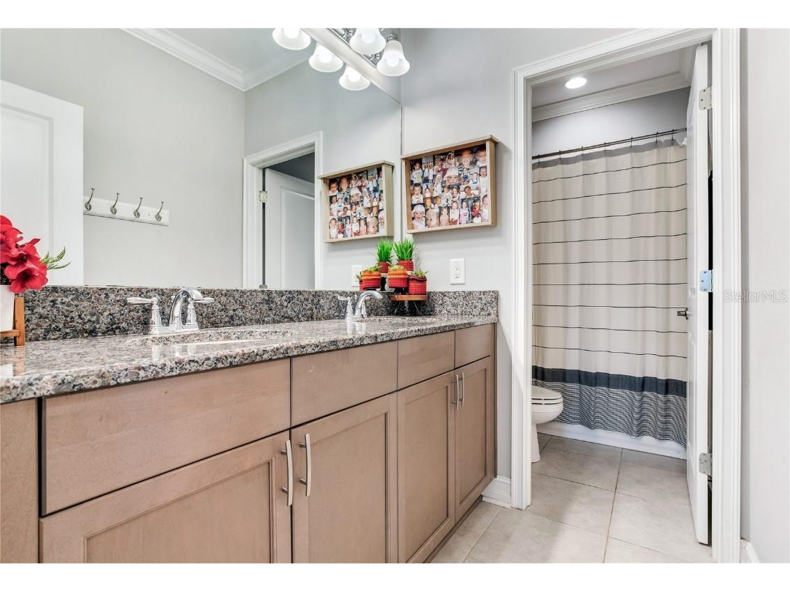 4014 Empoli Court Wesley Chapel FL 33543 TB8437068 image48