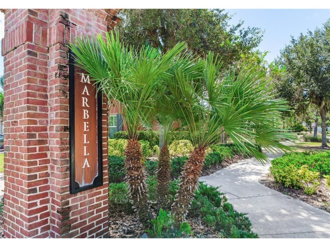 4014 Empoli Court Wesley Chapel FL 33543 TB8437068 image64