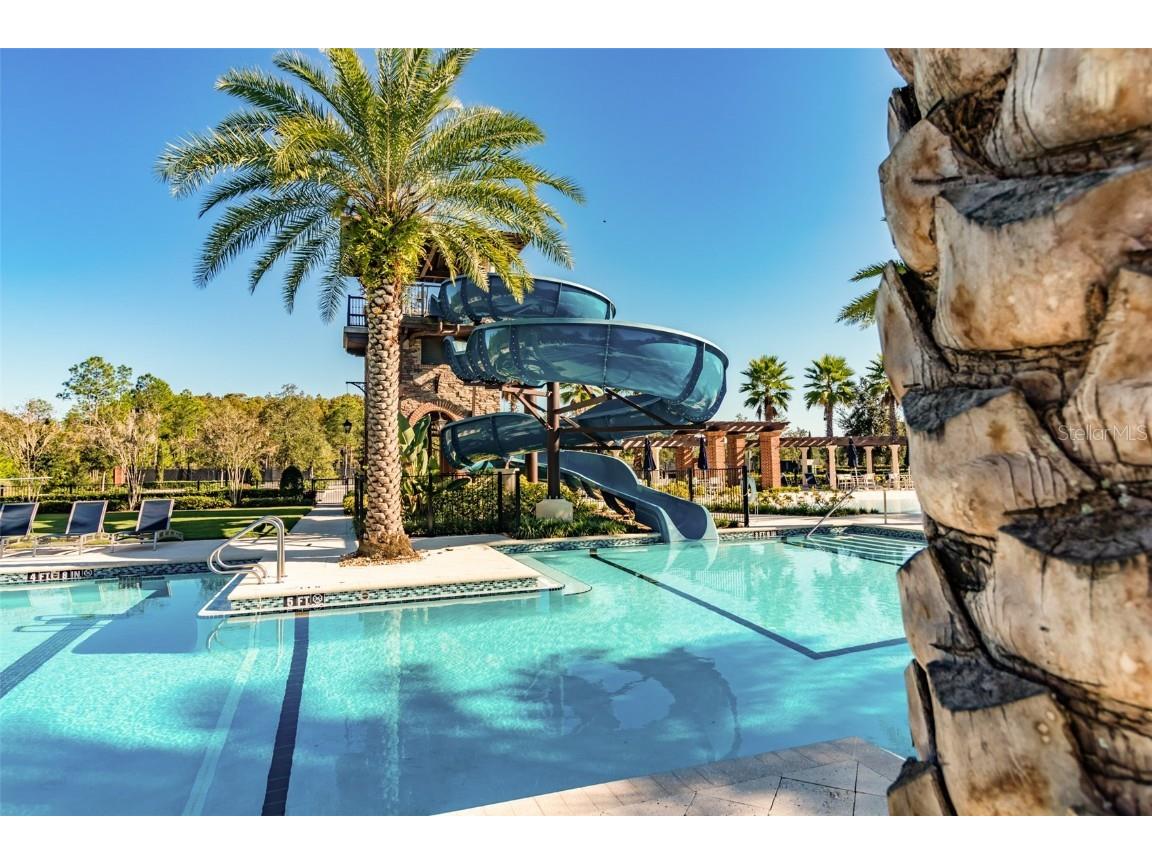 4014 Empoli Court Wesley Chapel FL 33543 TB8437068 image71