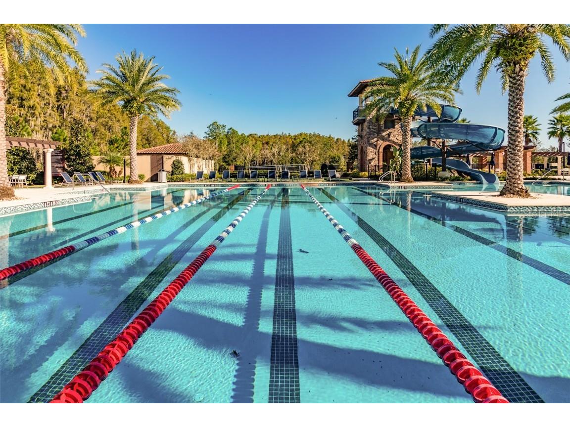 4014 Empoli Court Wesley Chapel FL 33543 TB8437068 image72