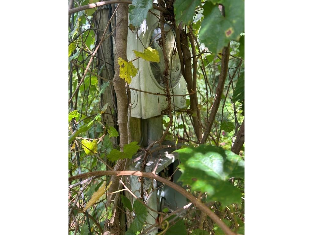 4014 SW 125th Avenue Webster FL 33597 W7879710 image5