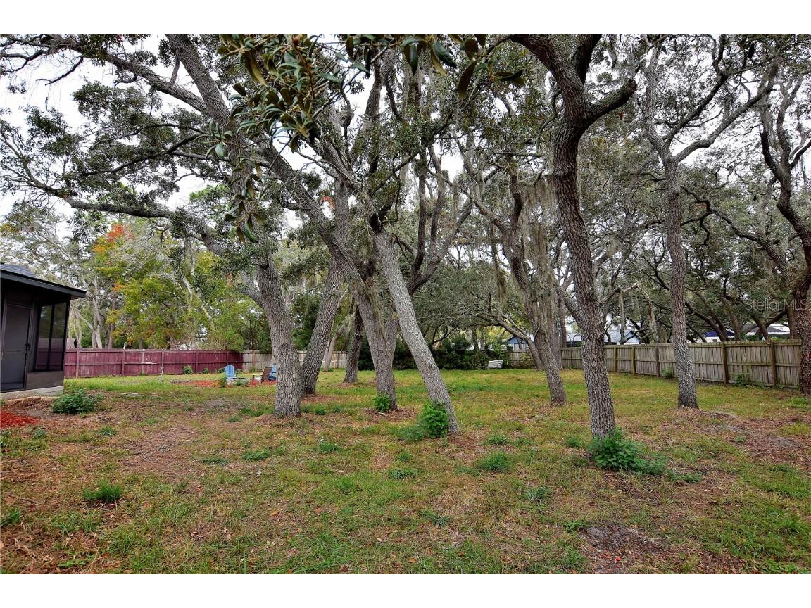 4014 Treetop Circle Spring Hill FL 34606 TB8454618 image31