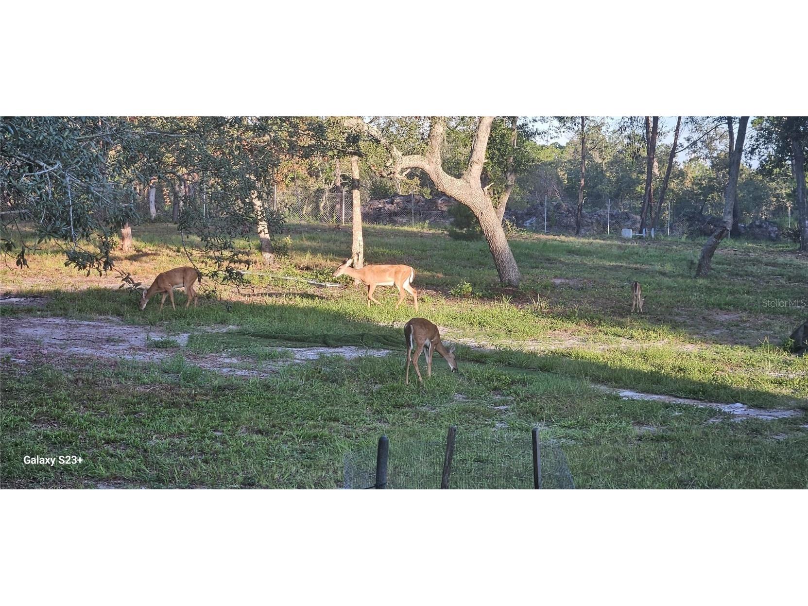 40140 Swift Road Eustis FL 32736 O6317197 image36