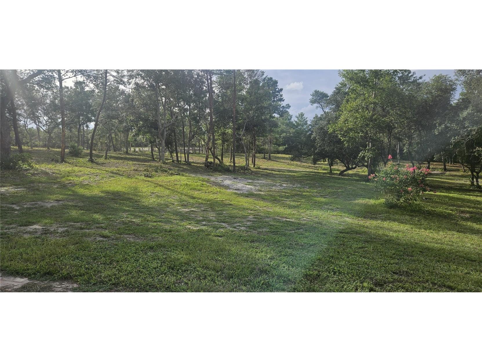 40140 Swift Road Eustis FL 32736 O6317197 image37