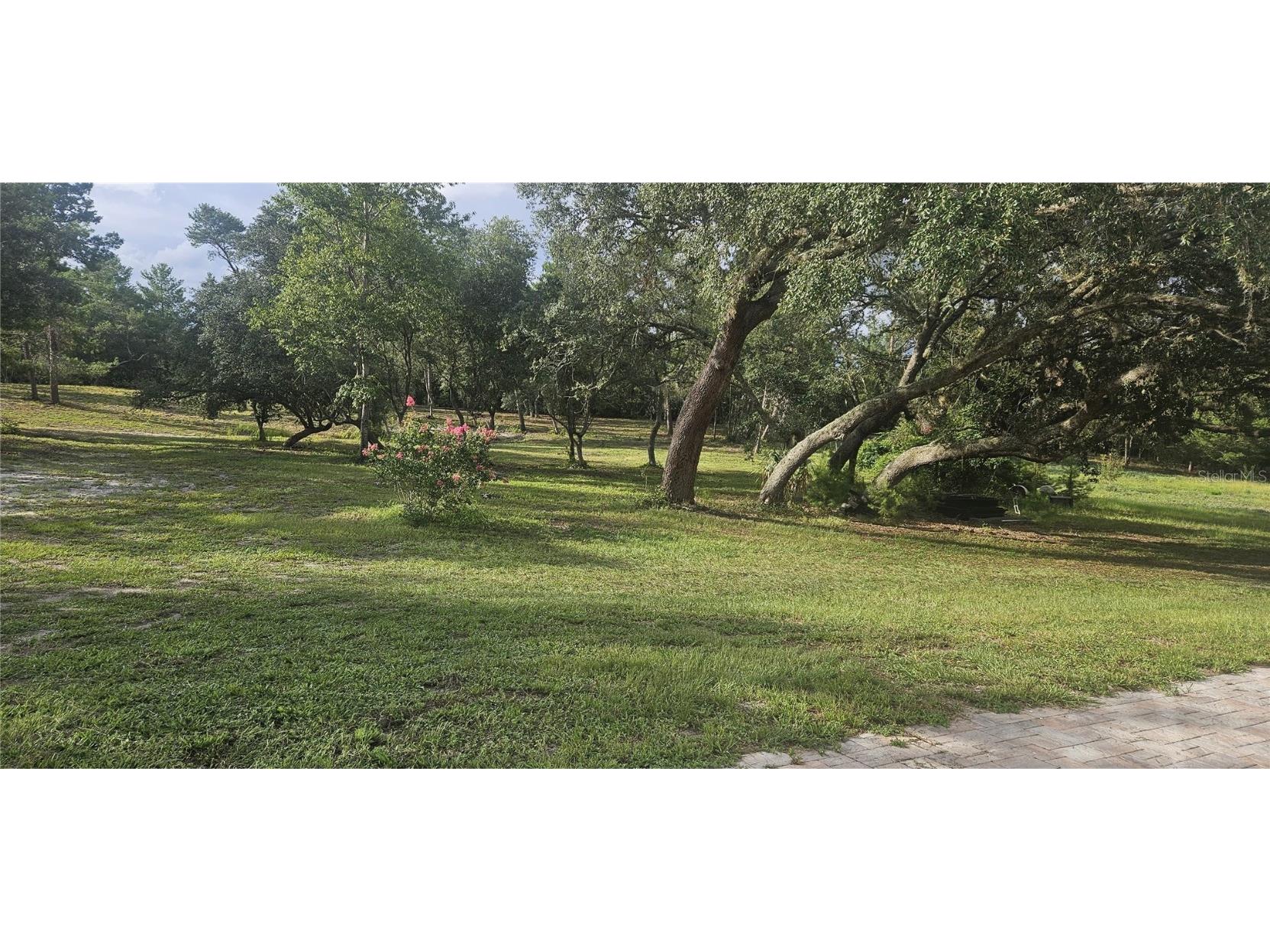 40140 Swift Road Eustis FL 32736 O6317197 image38