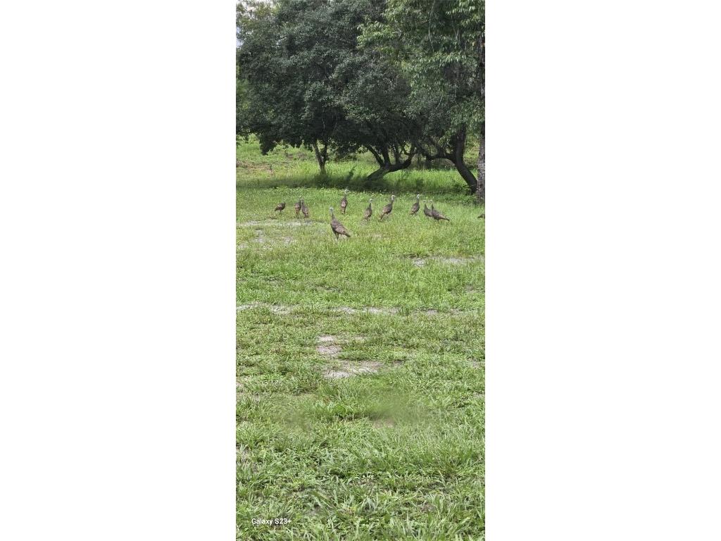 40140 Swift Road Eustis FL 32736 O6317197 image41