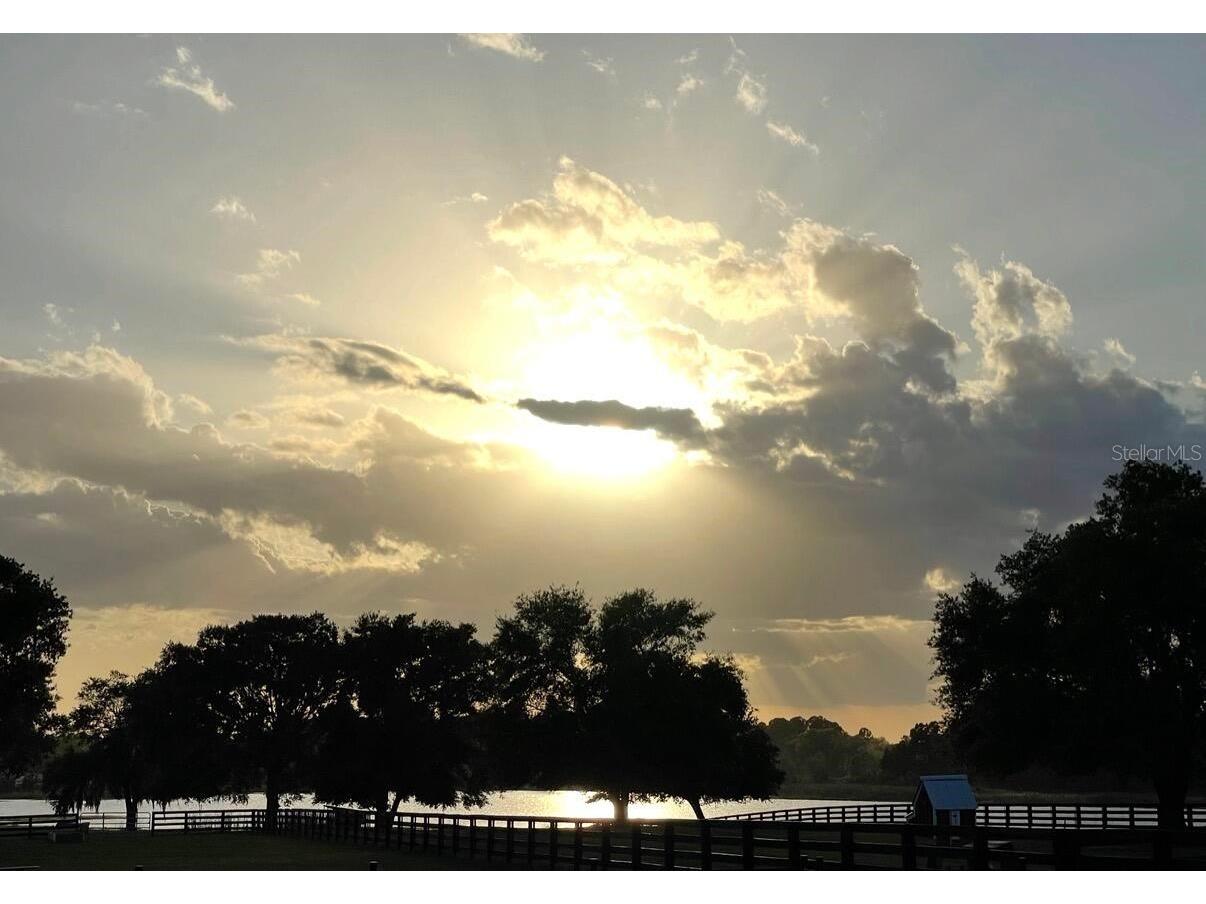 40143 Babb Road Umatilla FL 32784 O6410421 image30