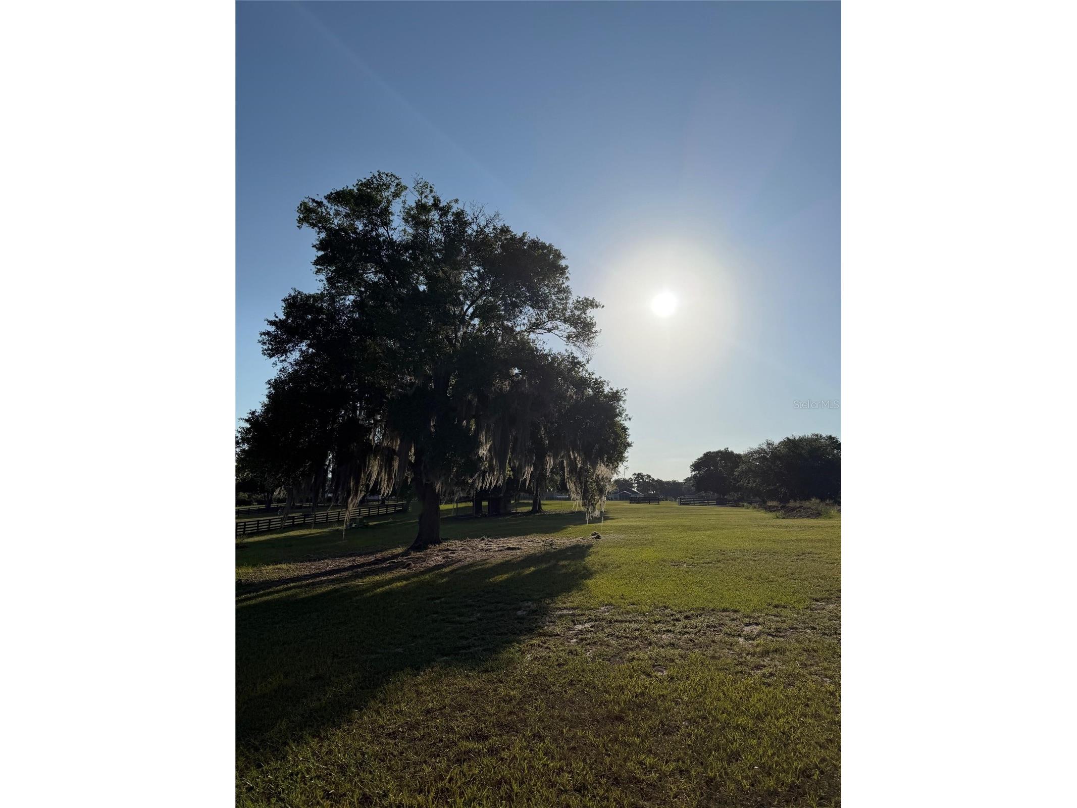 40143 Babb Road Umatilla FL 32784 O6410421 image32