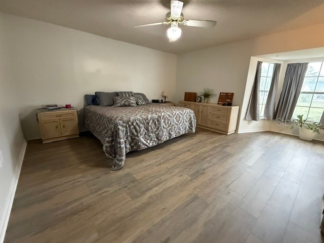 40145 W 7th Avenue Umatilla FL 32784 G5111741 image33