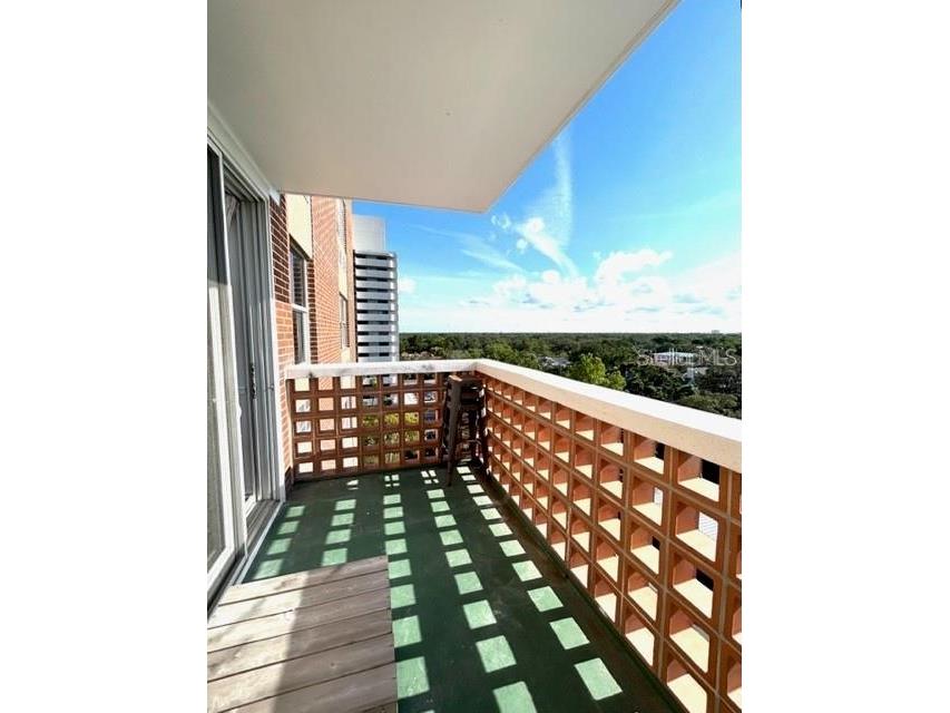 4015 Bayshore Boulevard #8D Tampa FL 33611 A4687964 image13