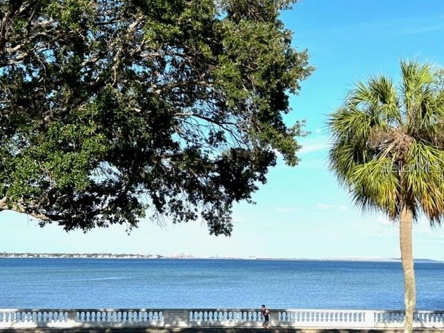 4015 Bayshore Boulevard #8D Tampa FL 33611 A4687964 image19