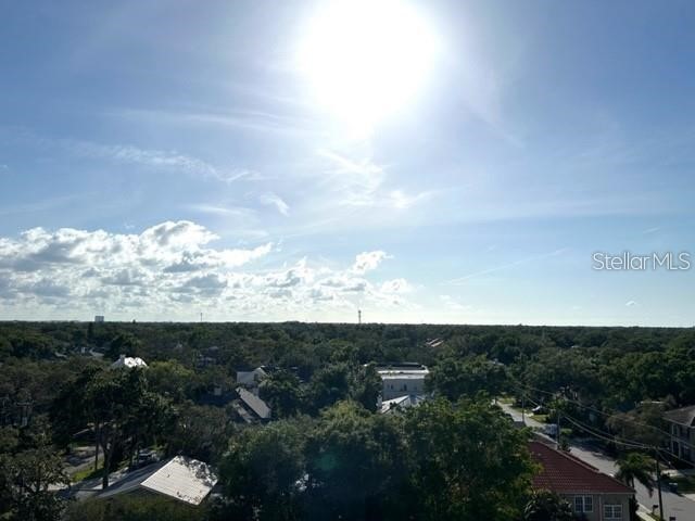 4015 Bayshore Boulevard #8D Tampa FL 33611 A4687964 image20