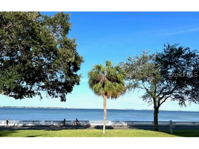 4015 Bayshore Boulevard #8D Tampa FL 33611 A4687964 image22
