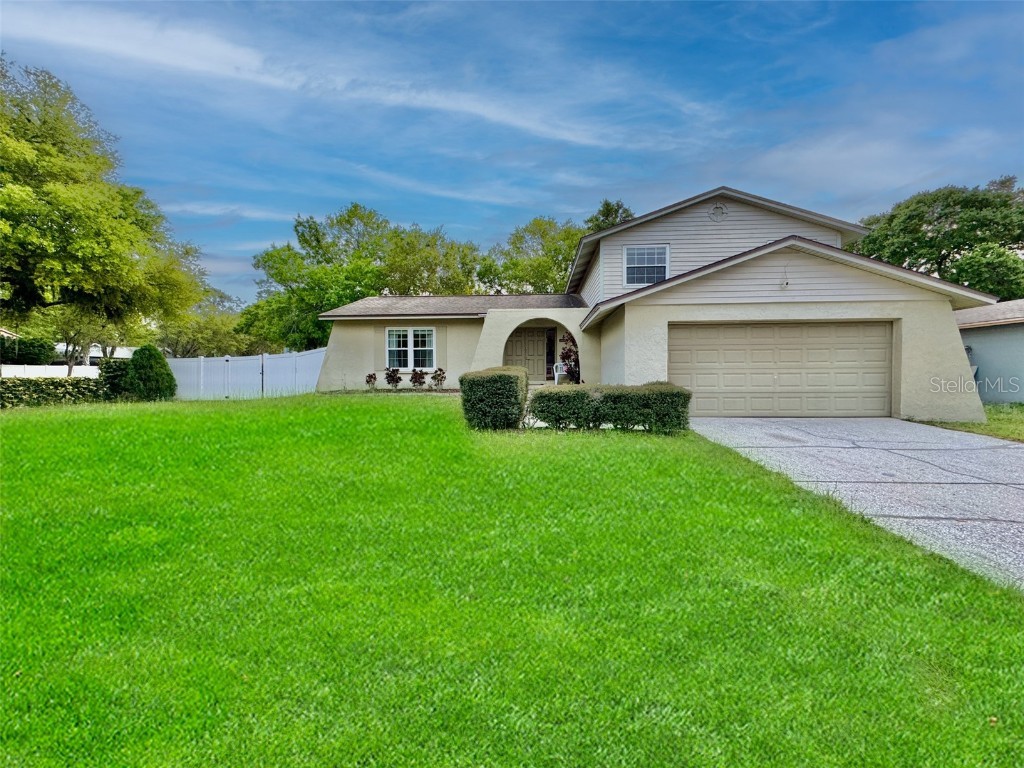 4015 Briarlake Drive Valrico FL 33596 T3512809 image1