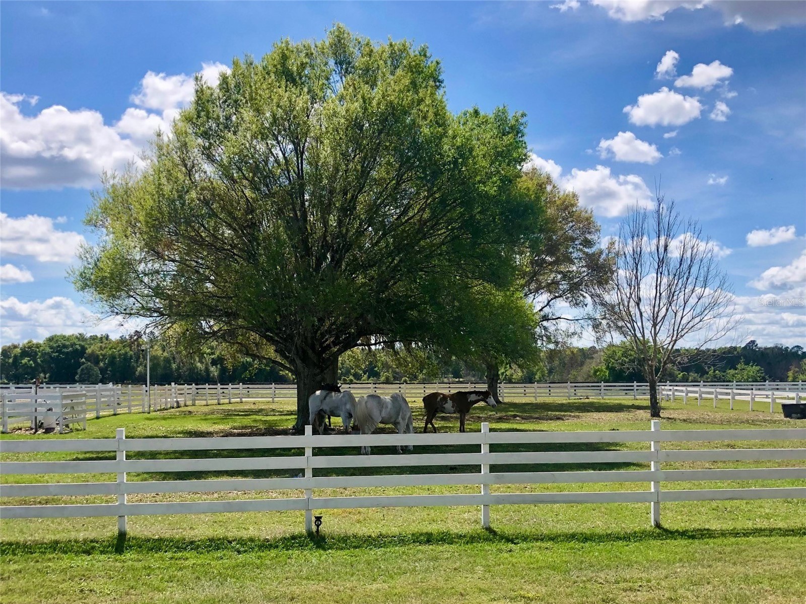 4015 Indigo Road Groveland FL 34736 O6388937 image72