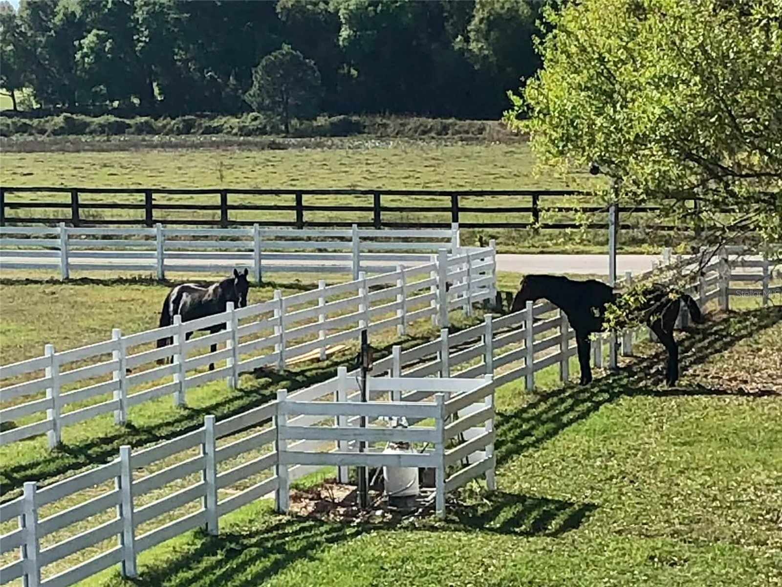 4015 Indigo Road Groveland FL 34736 O6388937 image73