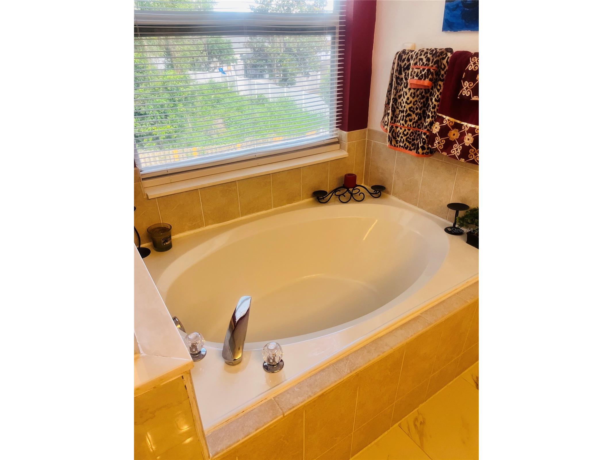 4015 Lakeside Reserve Lane Orlando FL 32810 G5113875 image34