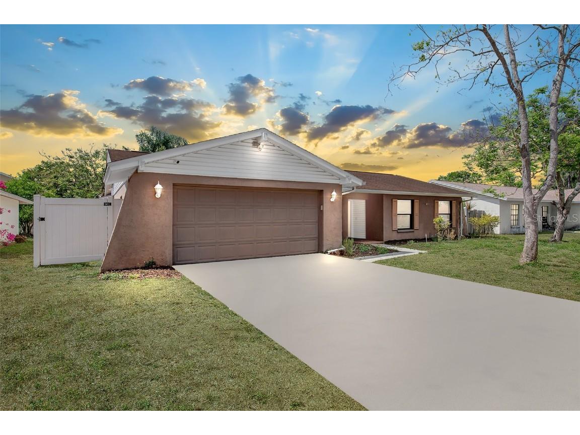 4015 Orangefield Place Valrico FL 33596 T3432429 image1