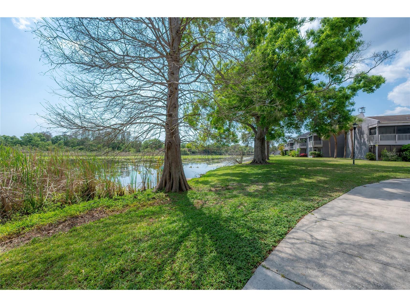 4016 Cortez Drive #D Tampa FL 33614 TB8493499 image25