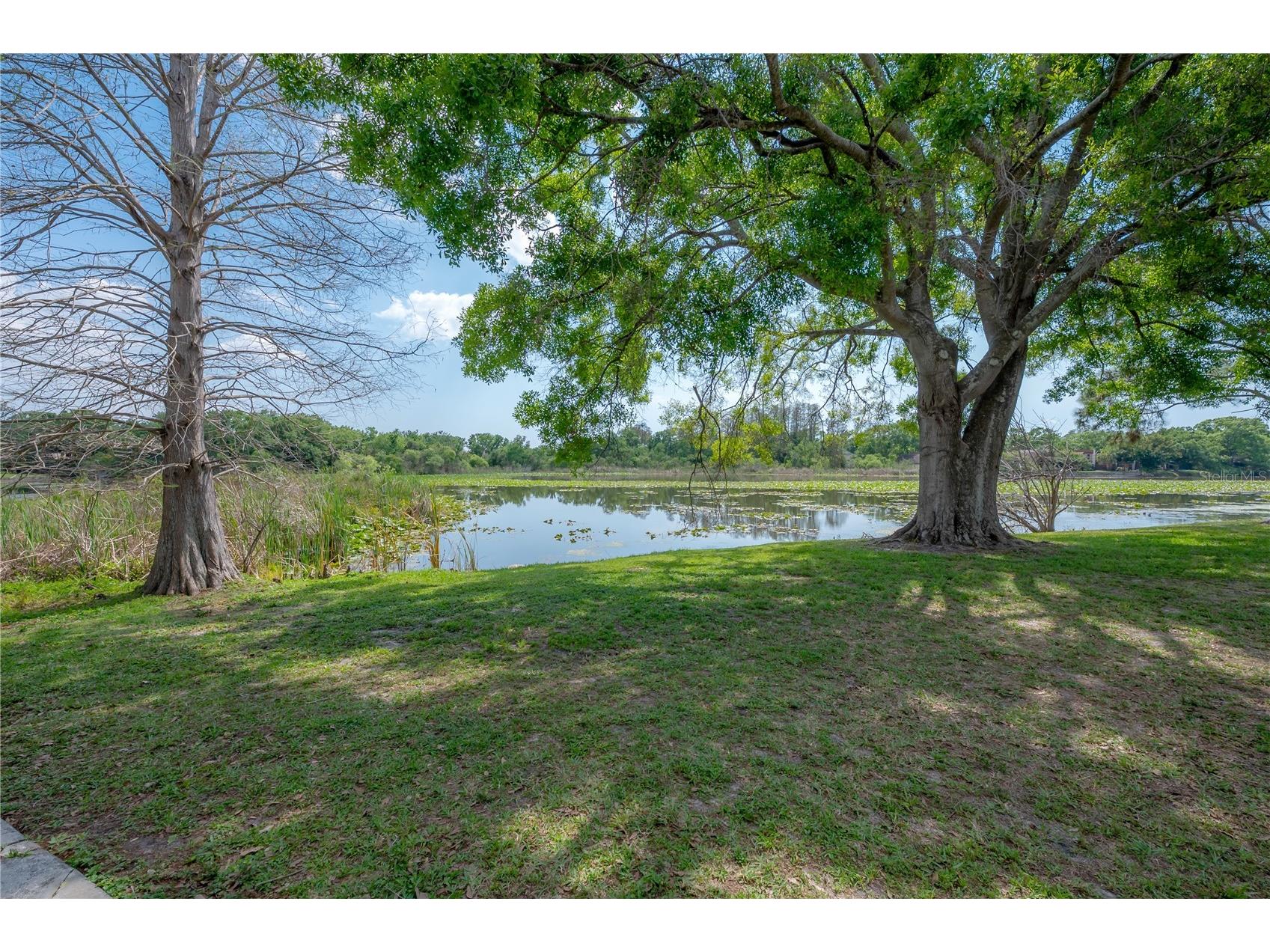 4016 Cortez Drive #D Tampa FL 33614 TB8493499 image26