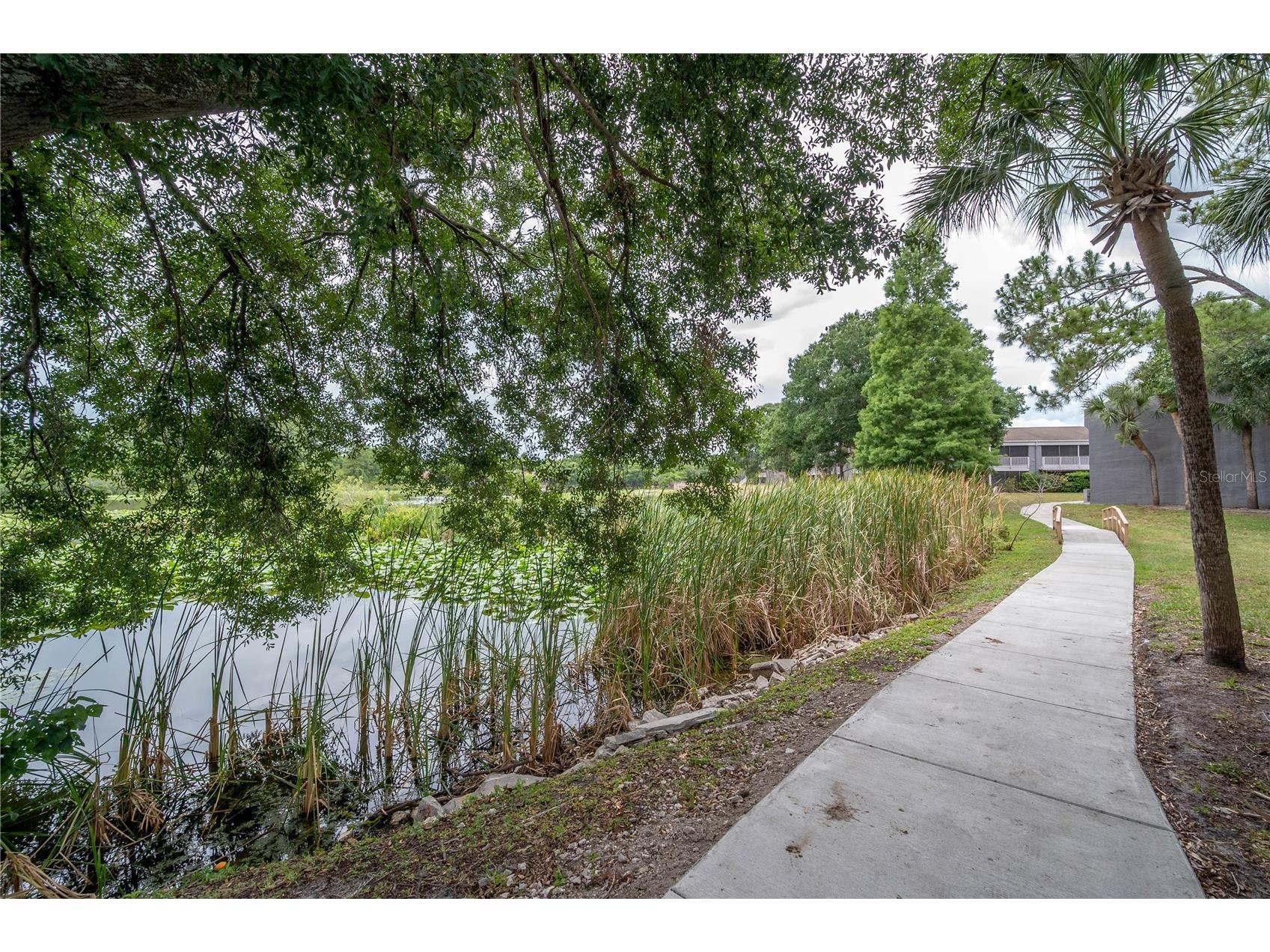 4016 Cortez Drive #D Tampa FL 33614 TB8493499 image27