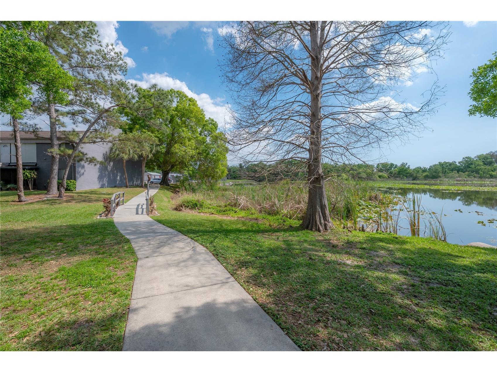 4016 Cortez Drive #D Tampa FL 33614 TB8493499 image28