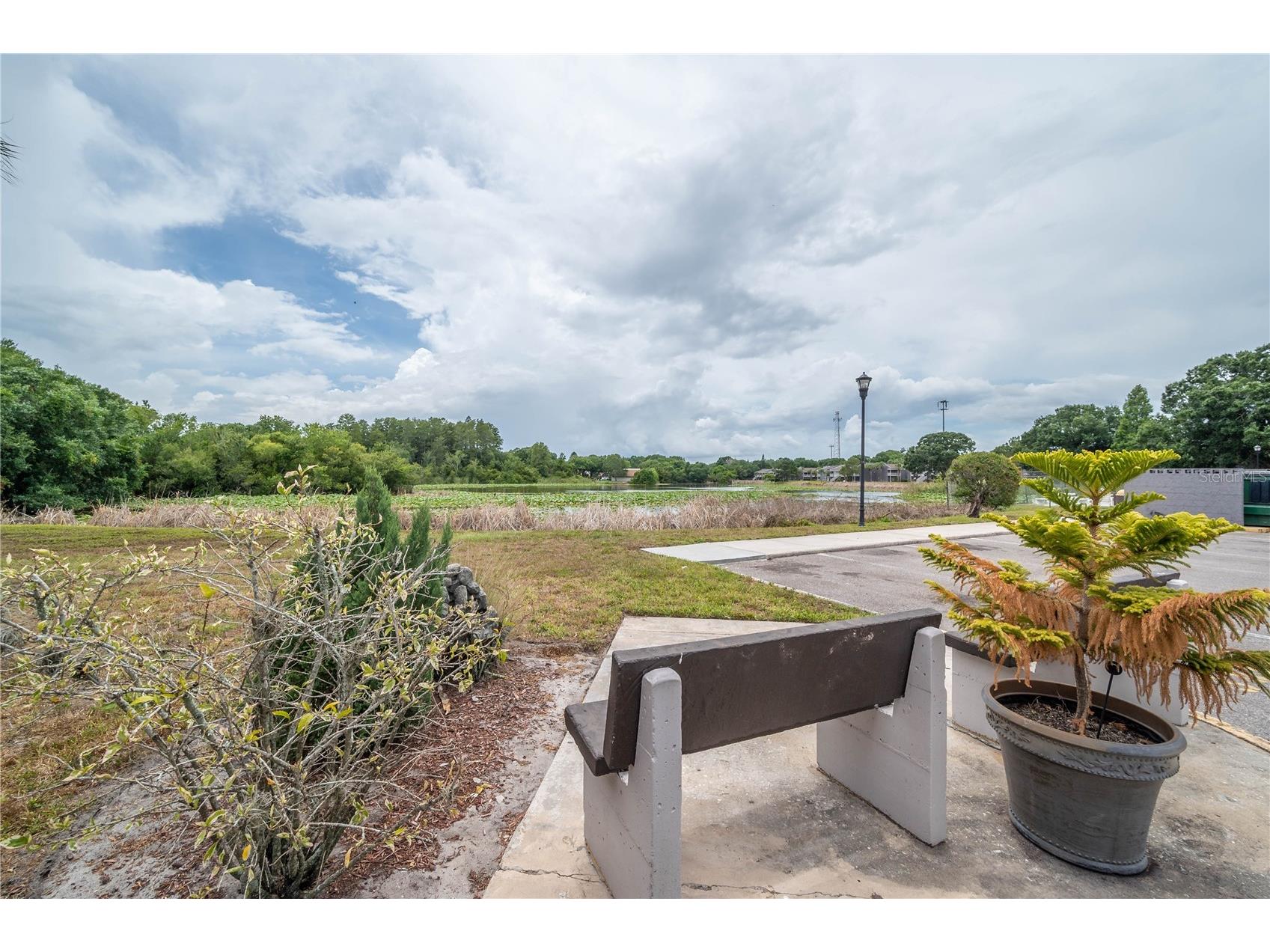 4016 Cortez Drive #D Tampa FL 33614 TB8493499 image29