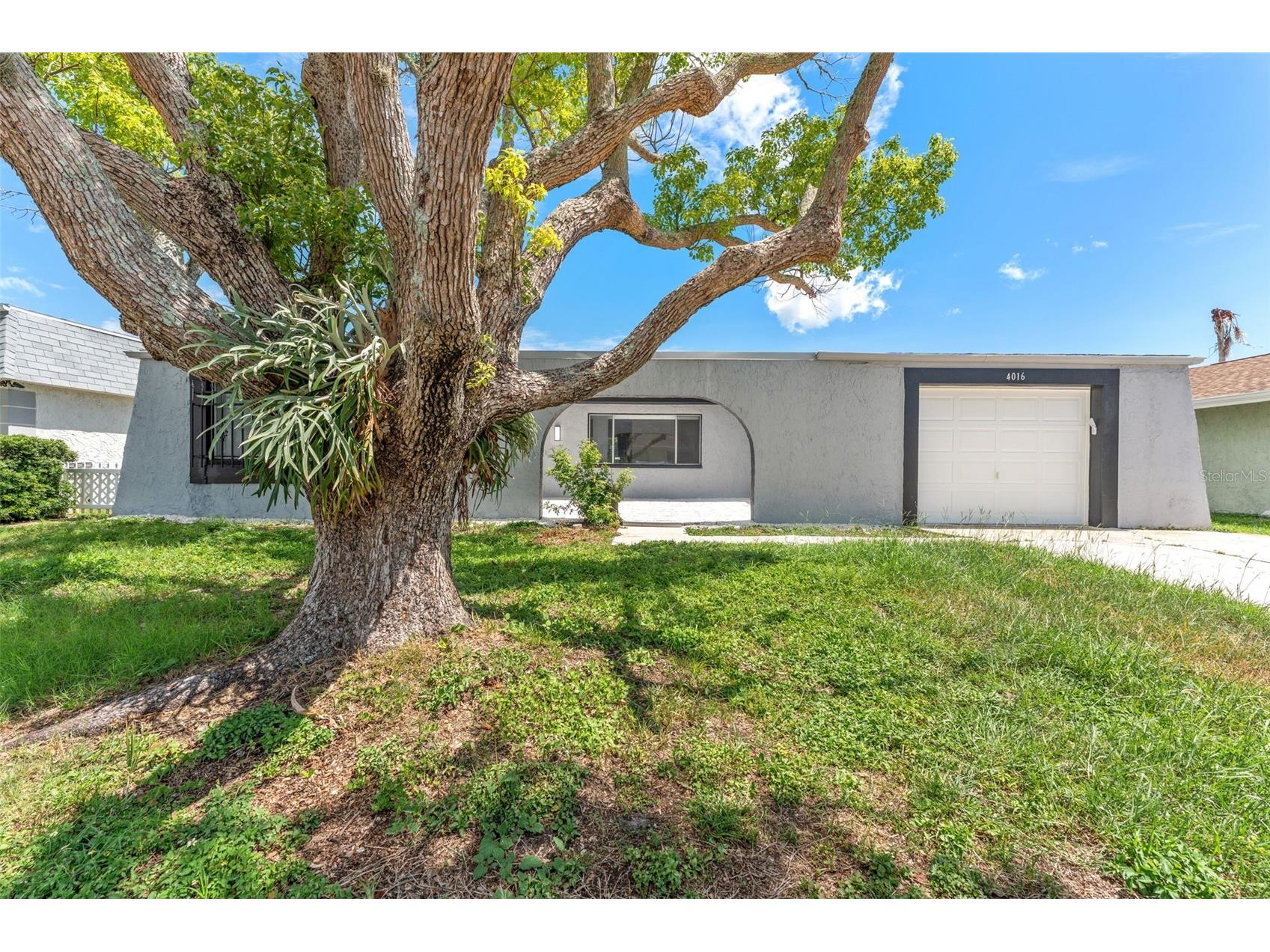 4016 Grayton Drive New Port Richey FL 34652 TB8399479 image4