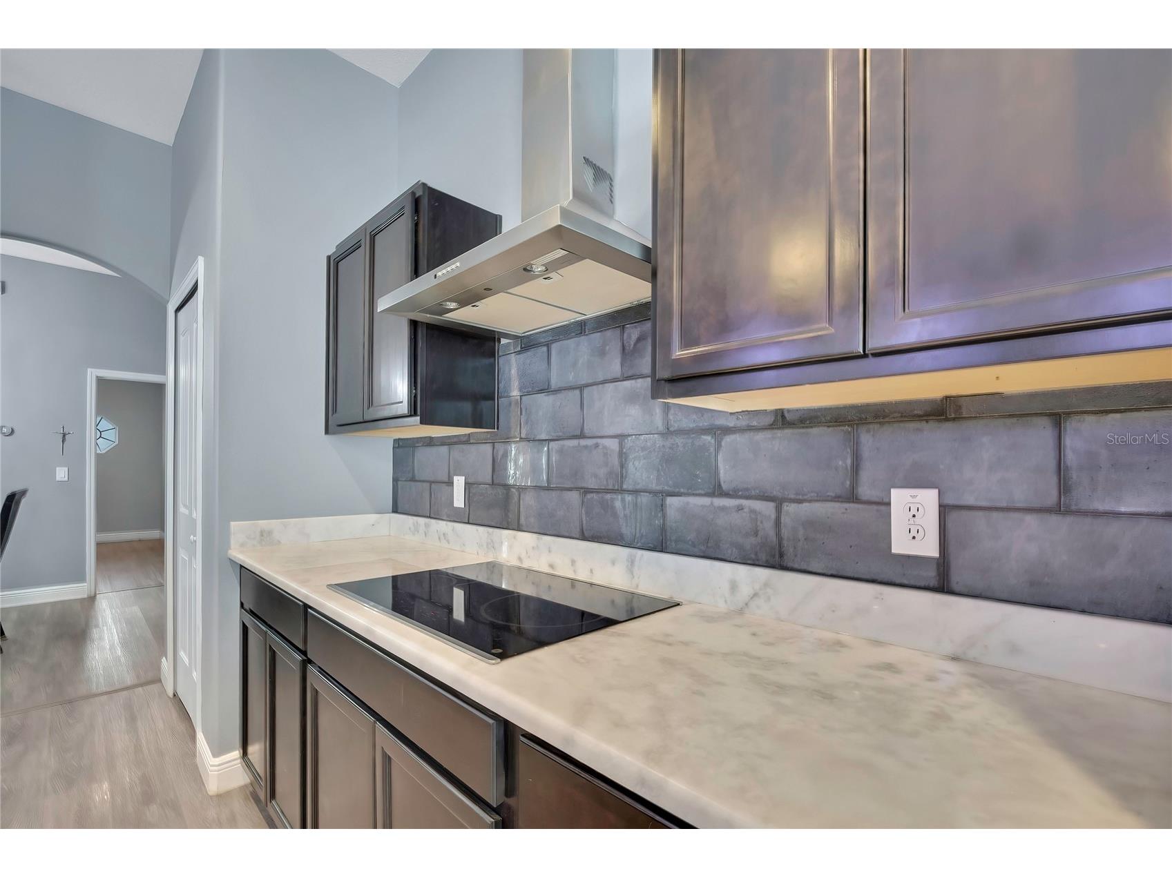 4016 Jacaranda Circle Brooksville FL 34604 W7887309 image24