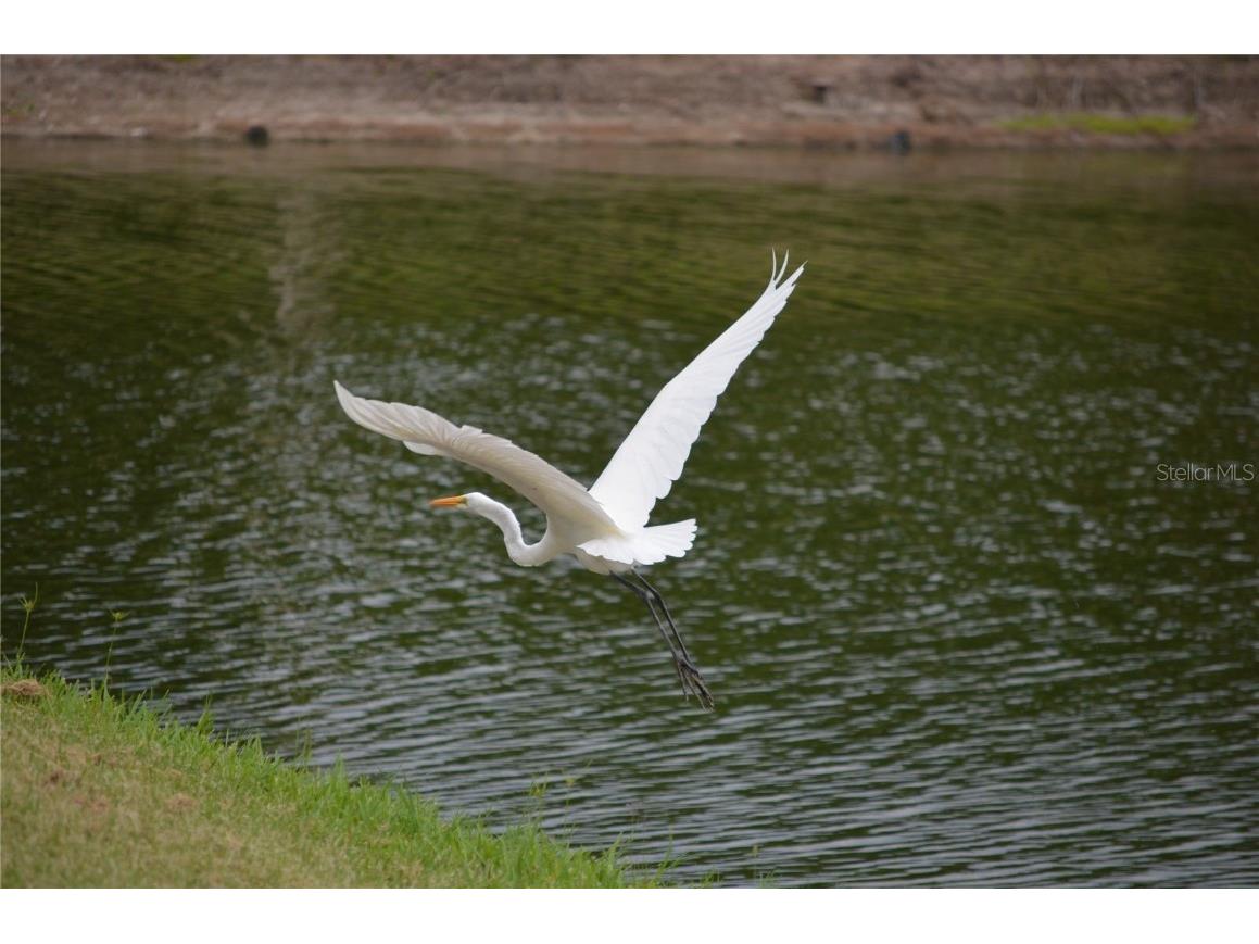 4016 Oakview Drive #J8 Punta Gorda FL 33980 - TALA LAKE C7490891 image26