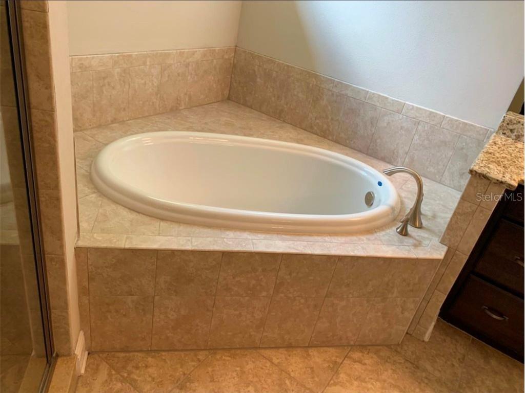 4016 W Bay To Bay Boulevard Tampa FL 33629 TB8452929 image6