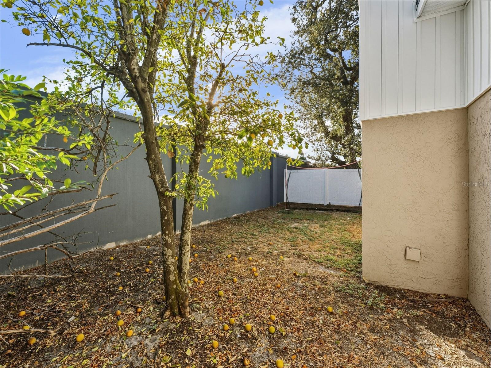 4016 W Nassau Street Tampa FL 33607 TB8475462 image32