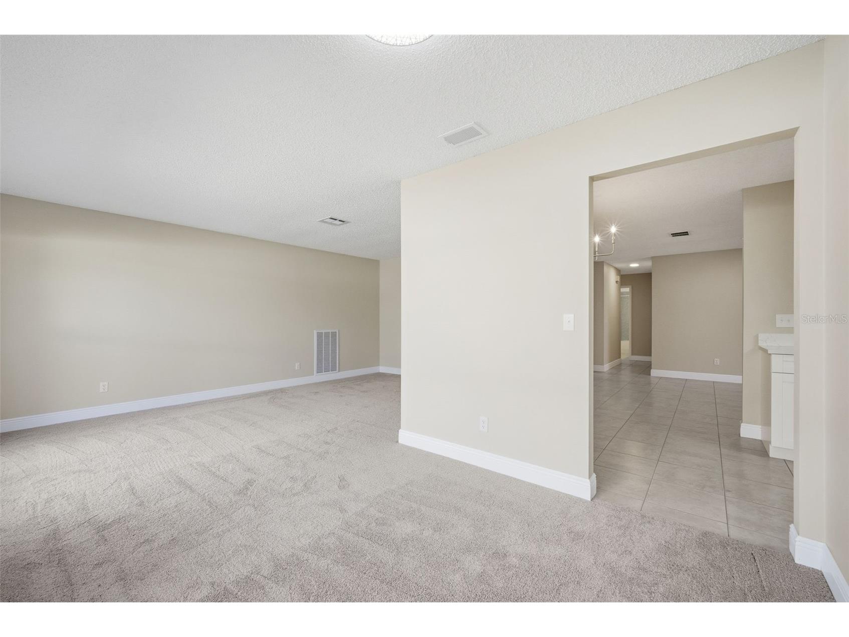 4017 Braesgate Lane Tampa FL 33624 TB8497754 image22