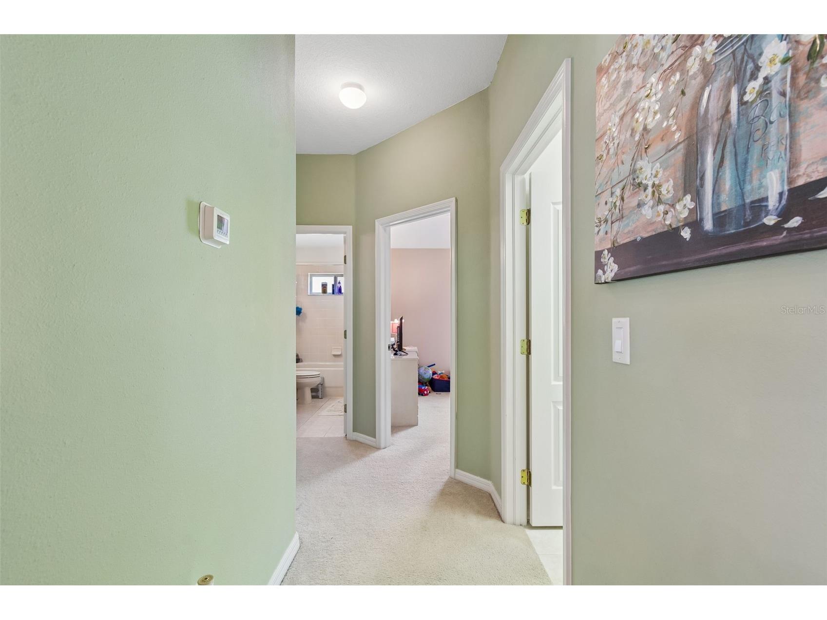 4017 Langdrum Drive Wesley Chapel FL 33543 TB8503786 image13