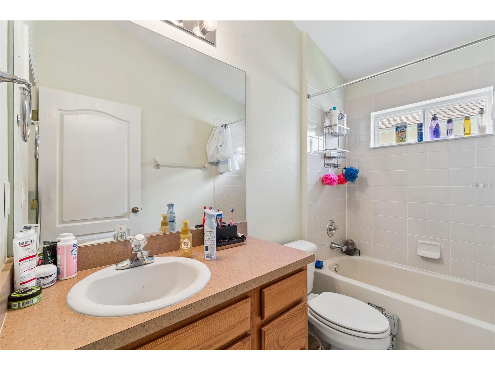 4017 Langdrum Drive Wesley Chapel FL 33543 TB8503786 image17